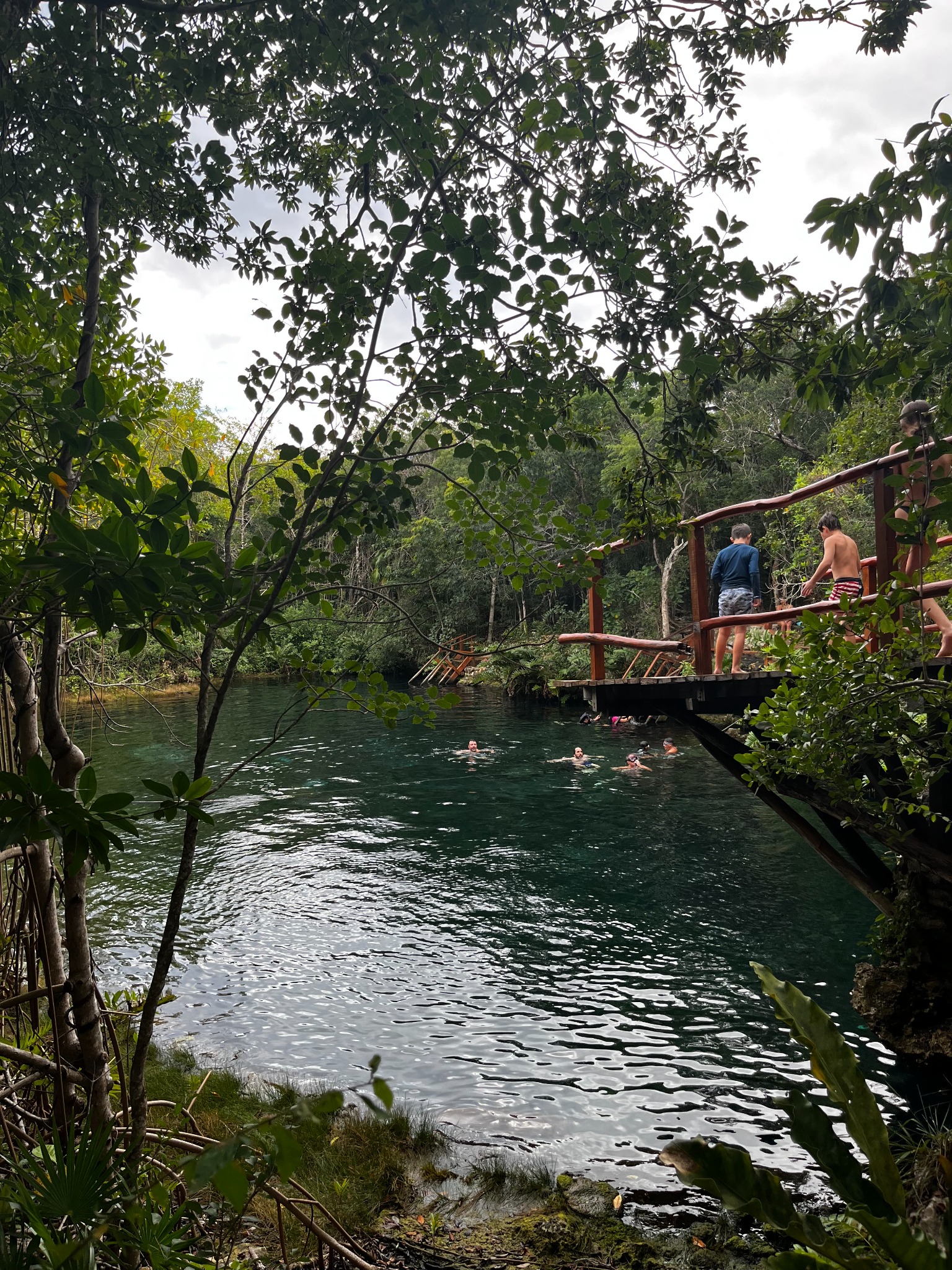 Open cenote photo 3